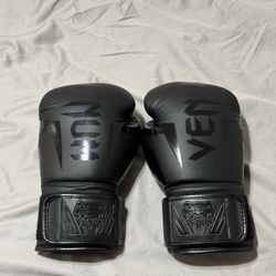 Venum Boxing Gloves