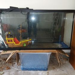 Pre-owned 50gal Aquarium, no Stand