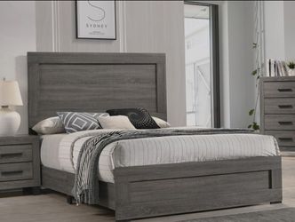 Salt Creek Bookcase Bed
