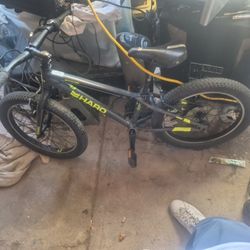 20 Inch Haro Mountain Bike