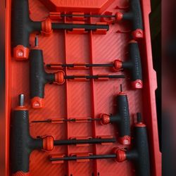 CRAFTSMAN T-Handle Allen Wrench Set with Storage