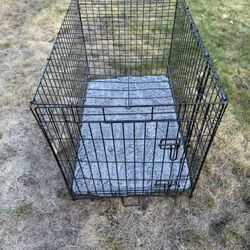 Collapsible Dog Crate – 36” with Double Doors + Mat