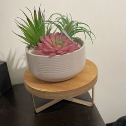 fake plant and stand