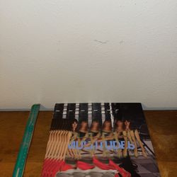 Feist Multitudes Lp 