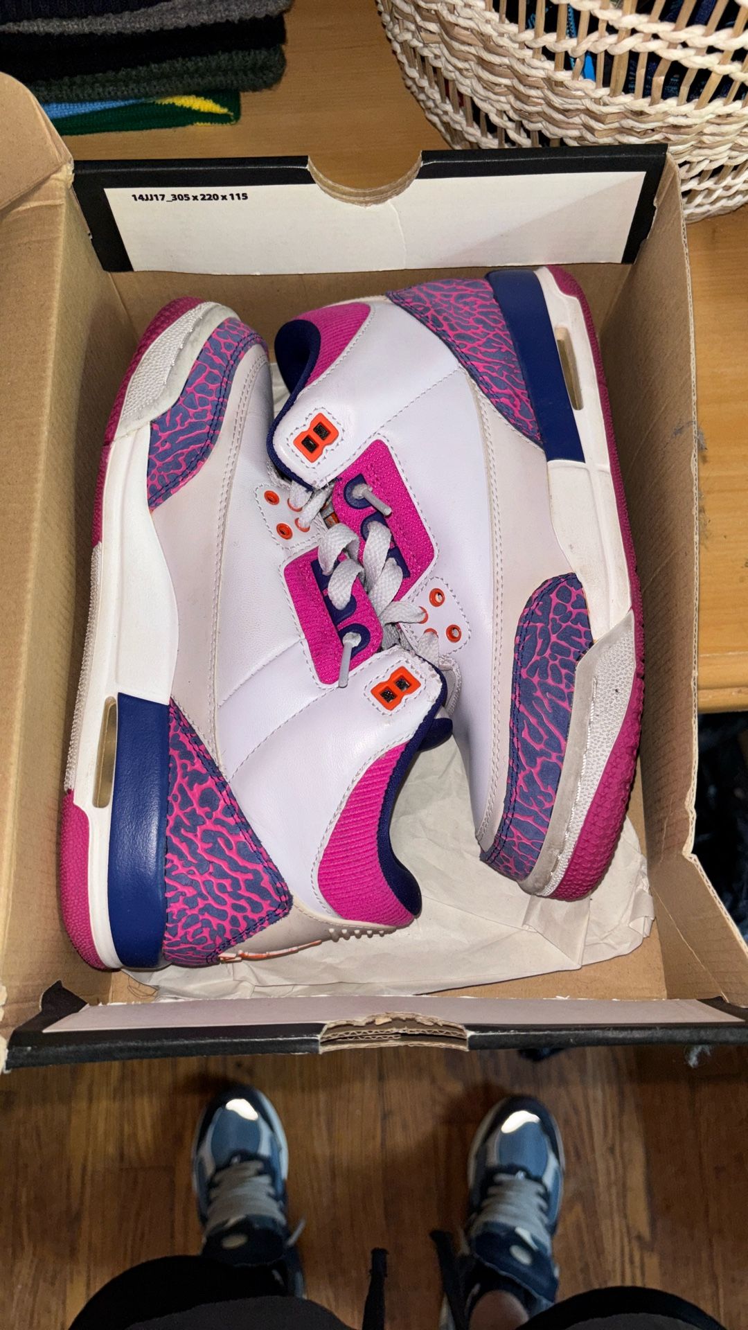 Girl Jordan Retro 3s