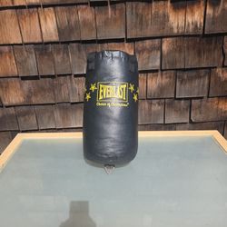Everlast Punching/Kick Boxing Bag 26lbs 