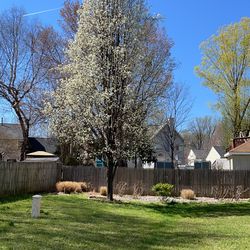 Landscape Labor