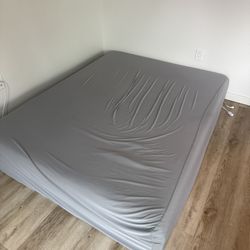 Queen Mattress - Zimus Green Tea 12”