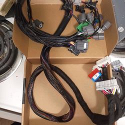 B Series Honda/Acura Wire Harness