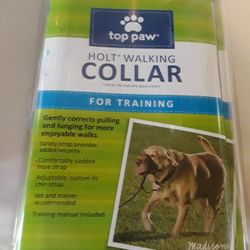 Holt Walking Collar For Training Size L.  In Weeki Wachee Spring Hill Florida