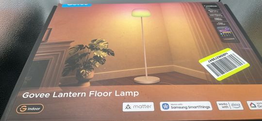 Govee Floor Lamp