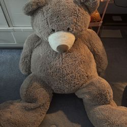 Large teddy bear