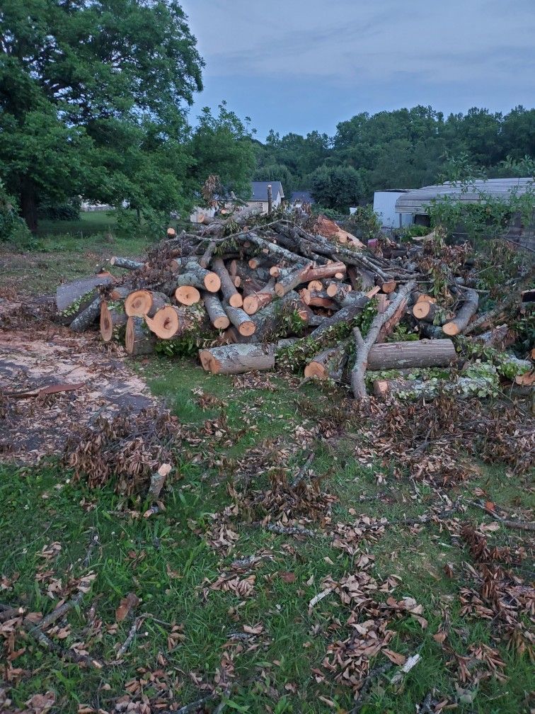 Free Woods/all You Want