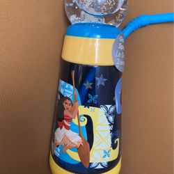 Brand New Disney Moana Kids Spinning Globe Bottle 