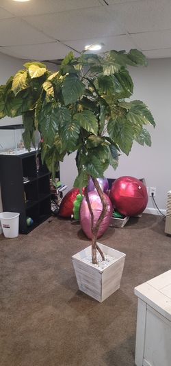 Tree From HOME GOODS
