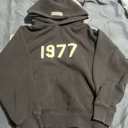 brown 1977 essential hoodie