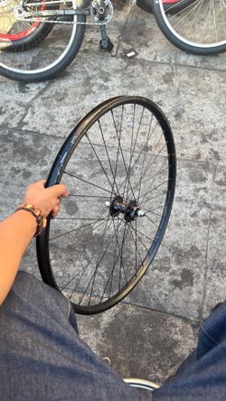 Throne Front rim