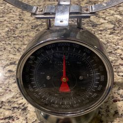 Kitchen Scale 