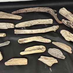 Driftwood Terrarium Decor Wood