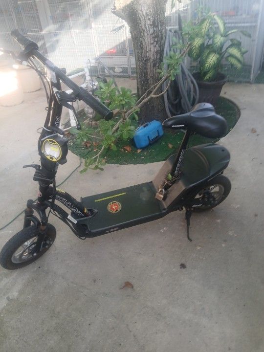Electric Scooter