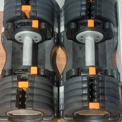 Nordic track adjustable dumbells