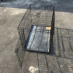 Dog Cage