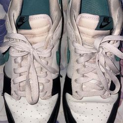 Nike Dunk Low Basketball Shoe 