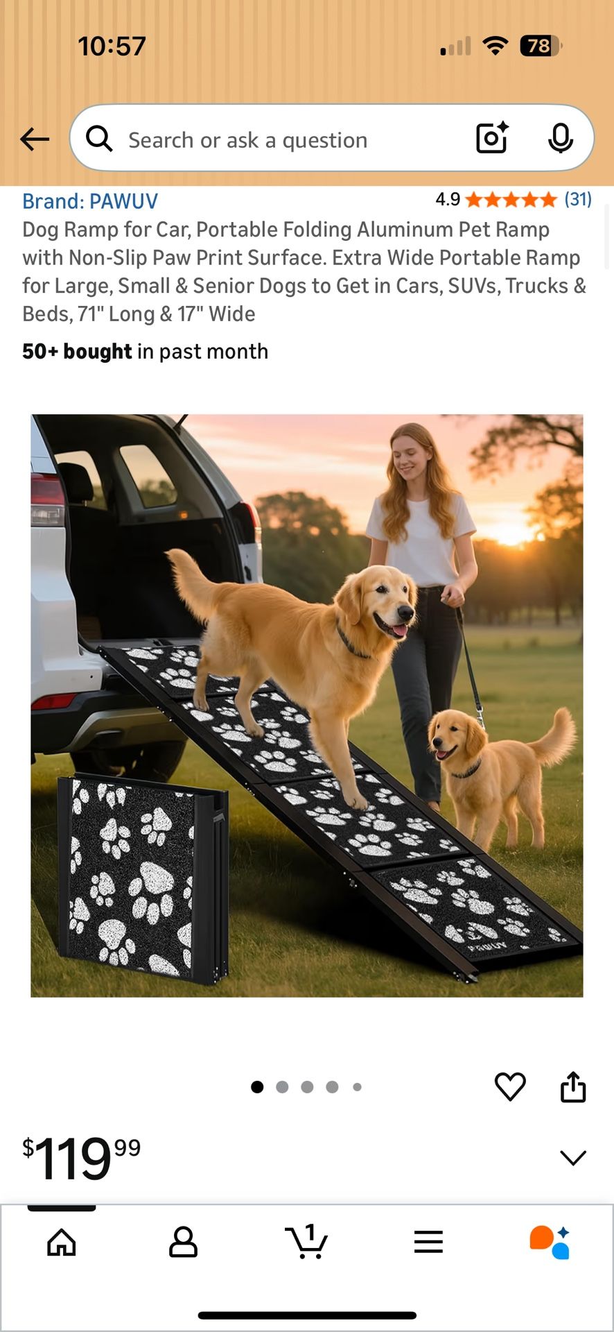 High Quality Portable Dog Ramp