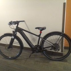 Cannondale Canvas E-bike