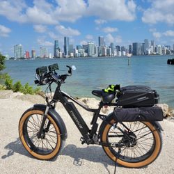 Bicicleta Electrica Con 2 Baterias