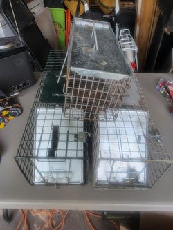 Small animal traps