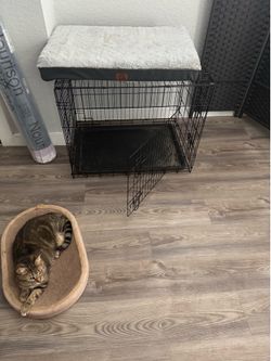 Pet cages - extra large and medium size