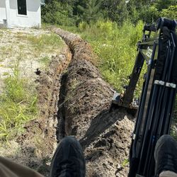 Busch Clearing, Garden Cleaning, Planting, Trenching  & More FREE Estimates