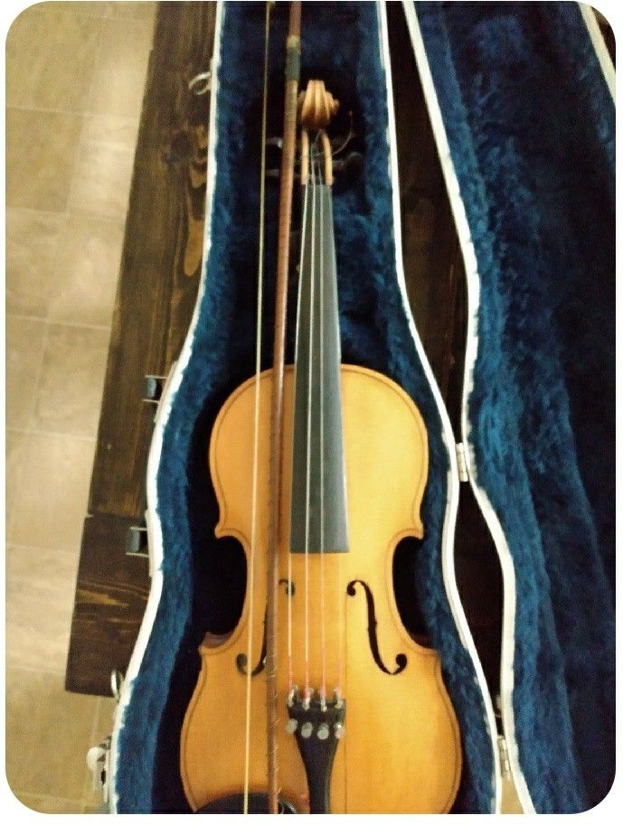 Violin