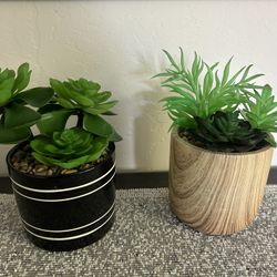 Modern Artificial Succulent Planters  