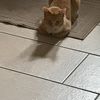 Kiki
