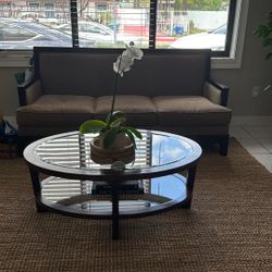 Coffee Table and Sofa 