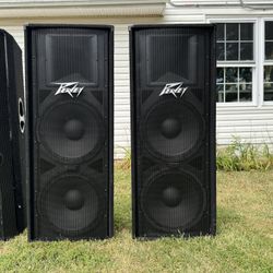 2 Peavey PV215 Passive Speakers
