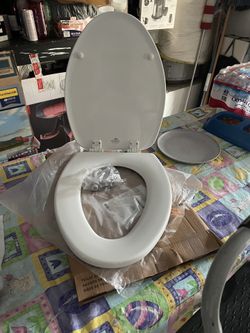 Toilet seat