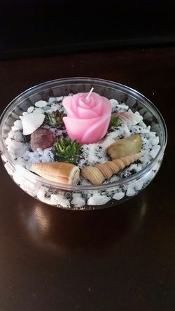 Succulents garden
