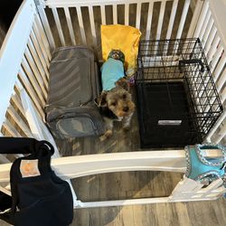 Complete Small Dog Puppy Package