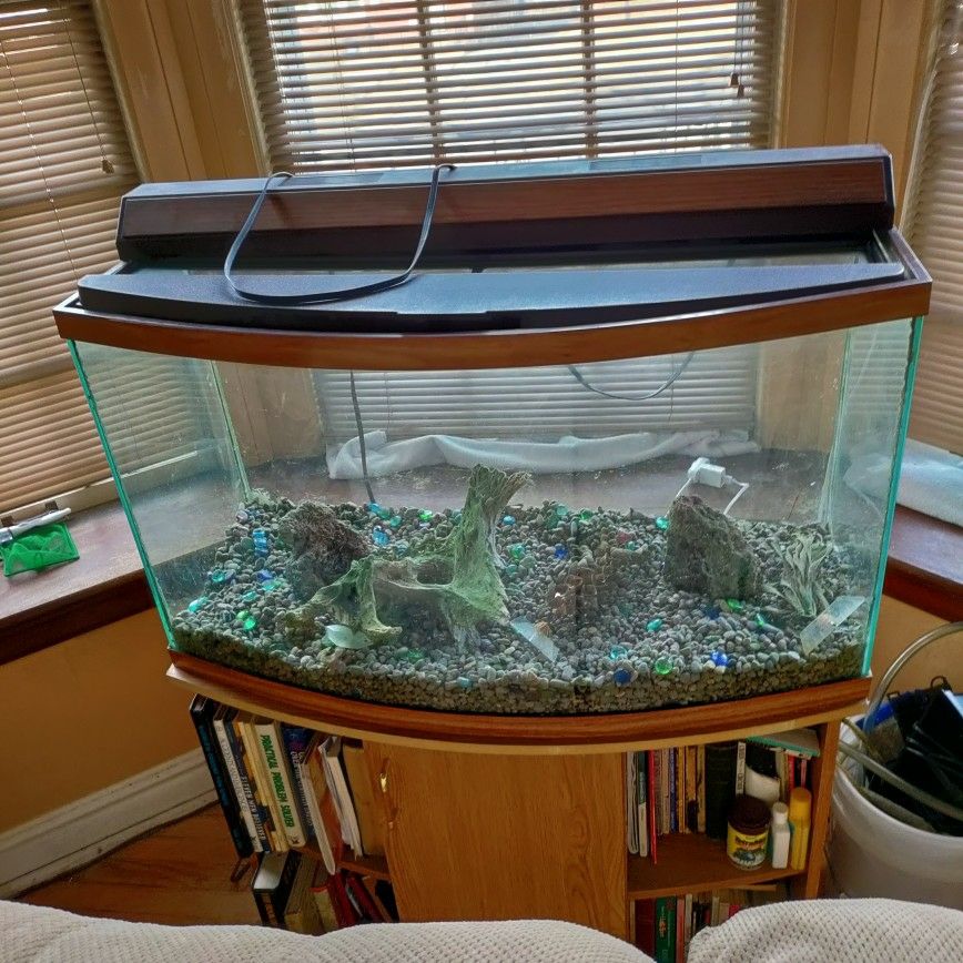 46 gallon bow front aquarium cheap petsmart