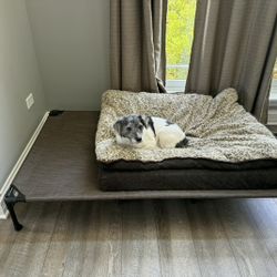 Raised Dog Bed Barely Used