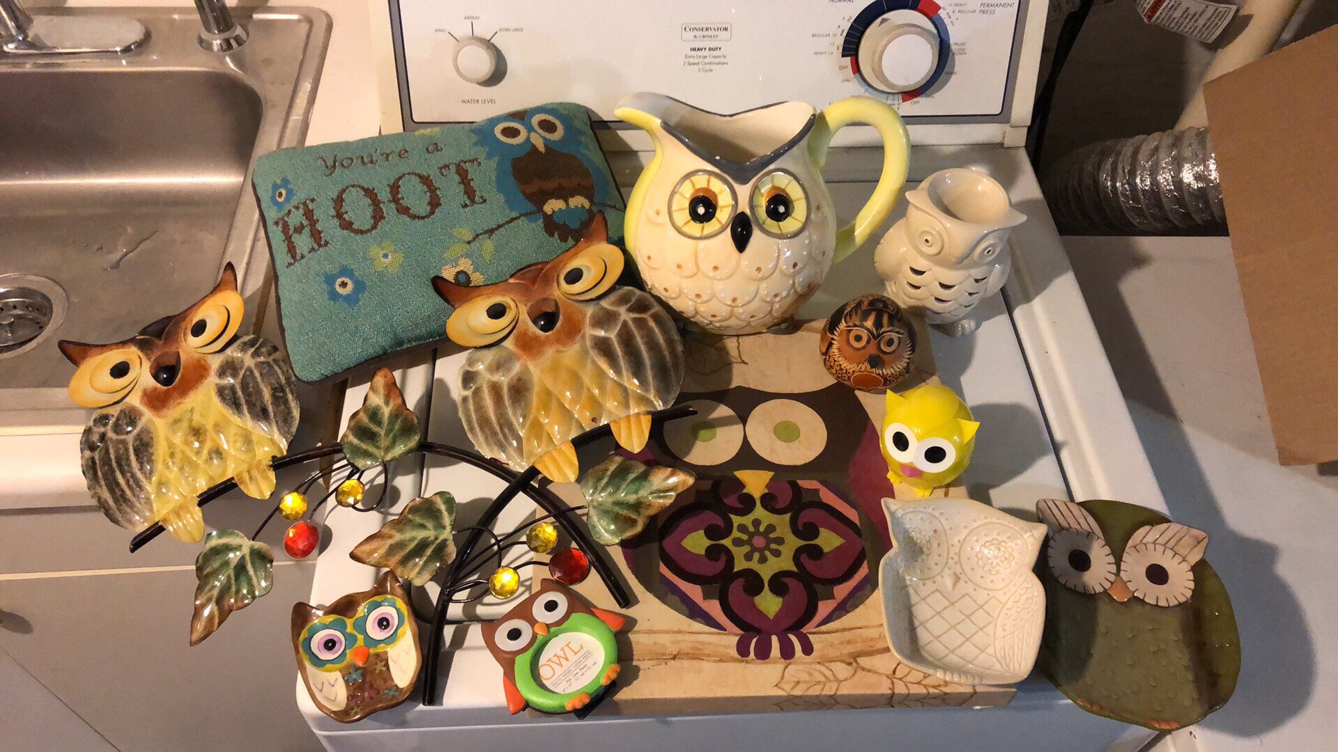 Owl lovers lot
