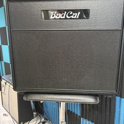 Bad Cat guitar speaker cabinet