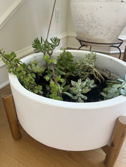 Beautiful Ceramic Planter And Succulents