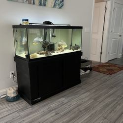 75 Gallon Set Up