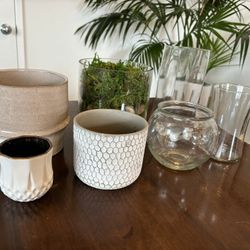 Beautiful Collection Of Planters And Vases