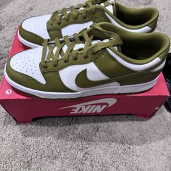 Ds Nike Dunk Pacific Moss Size 12.5 New 