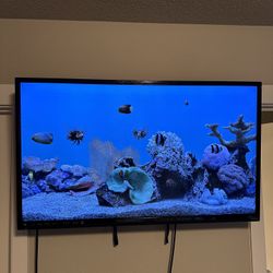 32’ Vizio TV, Roku, & Wall Mount